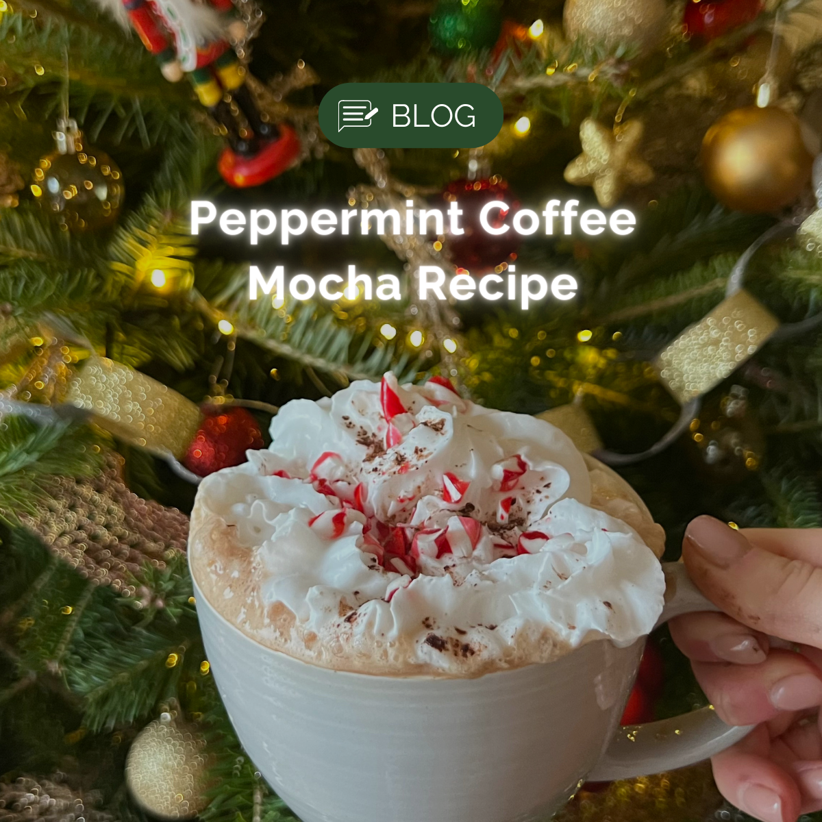 Peppermint Coffee Mocha Recipe